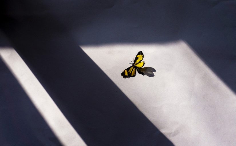 Kupujesz okna, co należałoby o nich wiedzieć przed podjęciem decyzji?