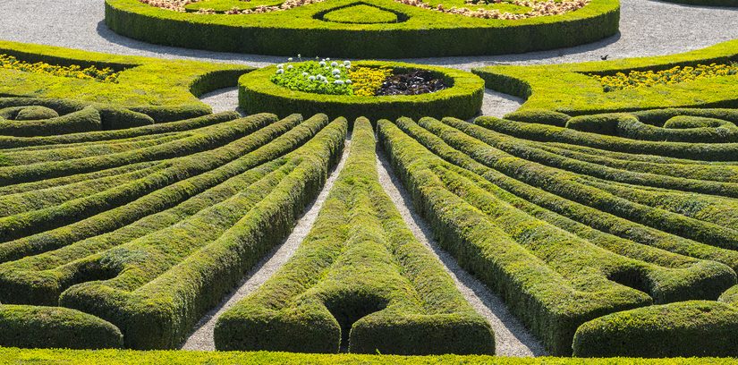 Jak zaprojektować przestrzeń zieloną? Rozbudowany instrukcja dla entuzjastów architektury krajobrazu